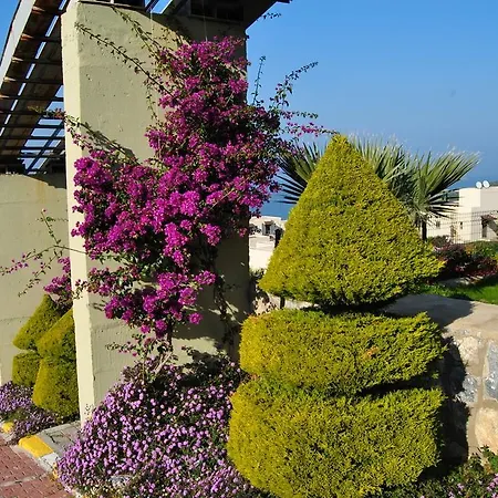 Royal 3+1 Villa Bogazici